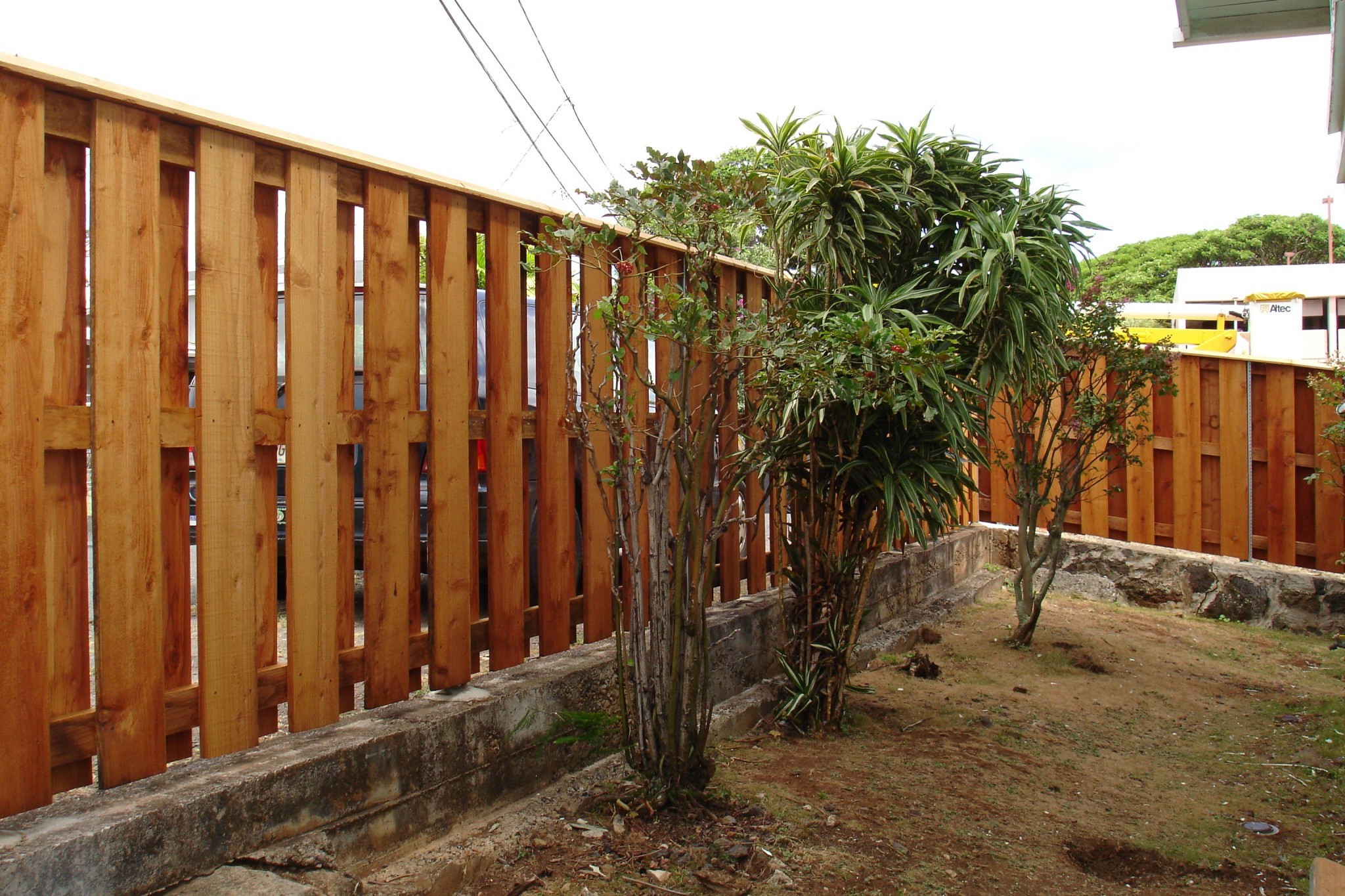 Backyard Wood Fence