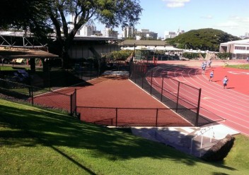 Chain Link, Fence, PVC - 2