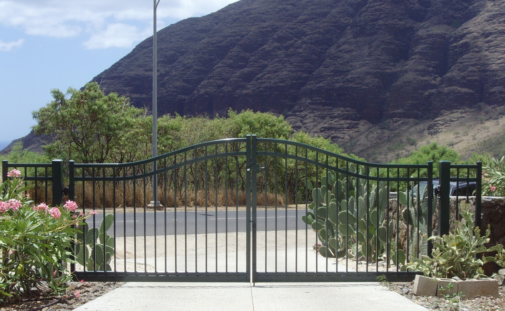 Fancy Ornamental Driveway Gates