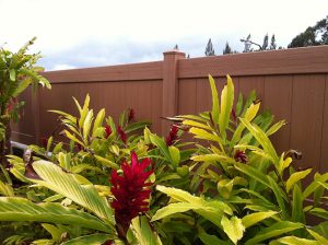 Hawaii Brown Vinyl Fence