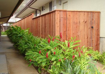 Oahu Wood Fence
