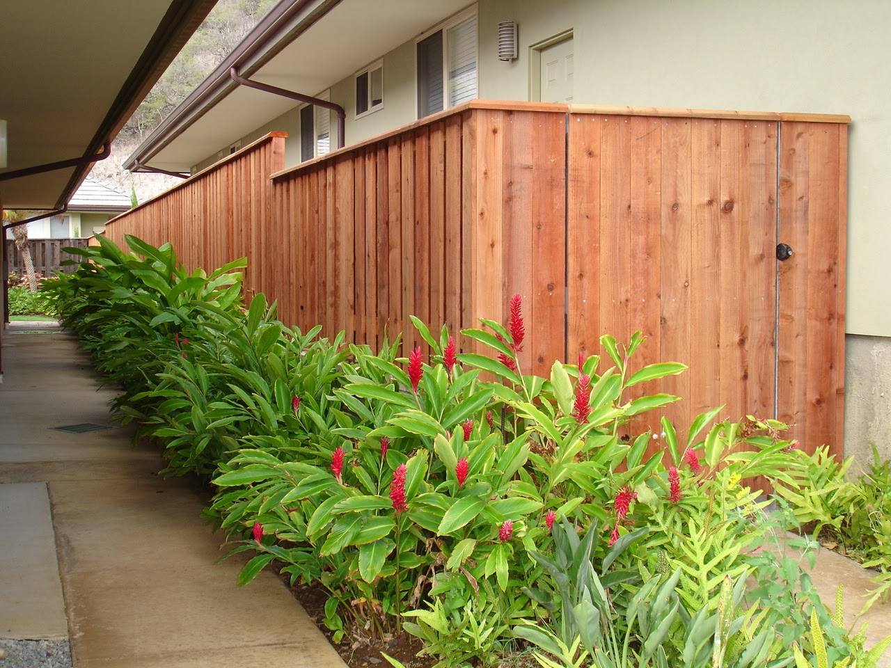 Oahu Wood Fence