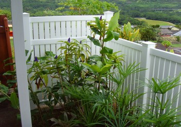 White Vinyl Fence Enclosure