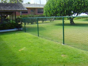 Green-Chain-Link-Fence-PVC
