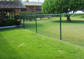 Green-Chain-Link-Fence-PVC