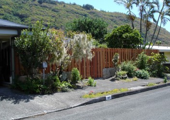 Wood Privacy Fencing